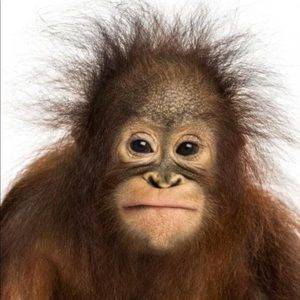 Meet your Posher, Kamil